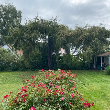 Nocleg ze śniadaniem Cremona Heringsdorf