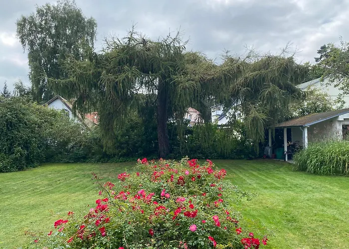 Nocleg ze śniadaniem Cremona Heringsdorf